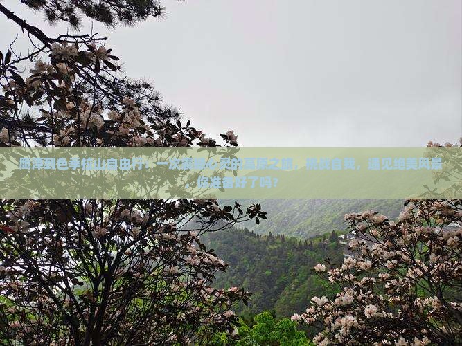 鹰潭到西藏色季拉山自由行
