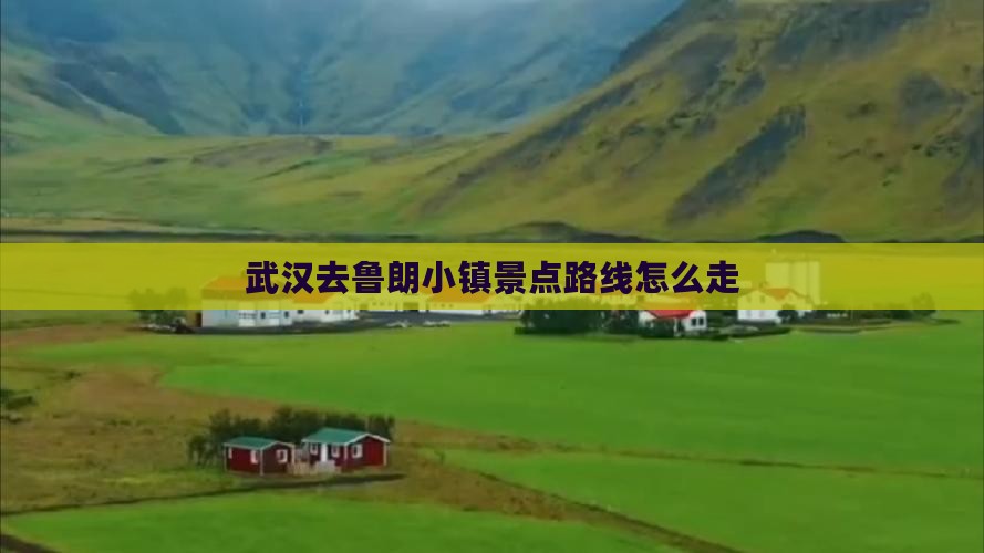 武汉去西藏鲁朗小镇景点