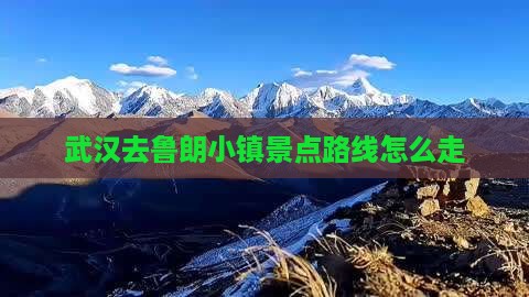 武汉去西藏鲁朗小镇景点