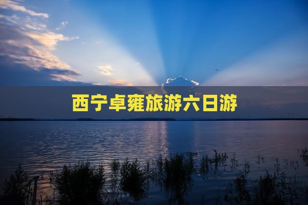 西宁去西藏羊卓雍措六日游