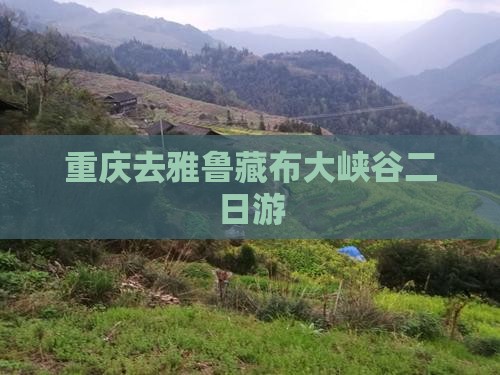 重庆去西藏雅鲁藏布大峡谷二日游