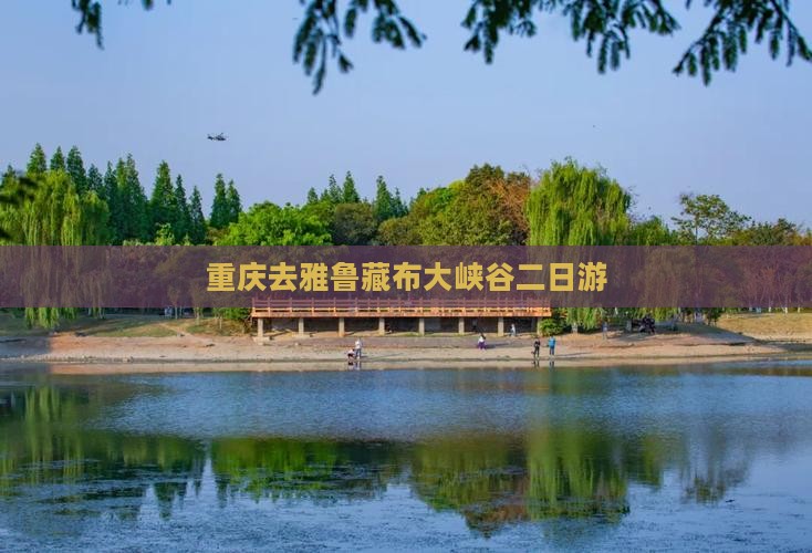 重庆去西藏雅鲁藏布大峡谷二日游