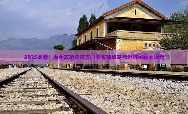海西去西藏布达拉宫门票
