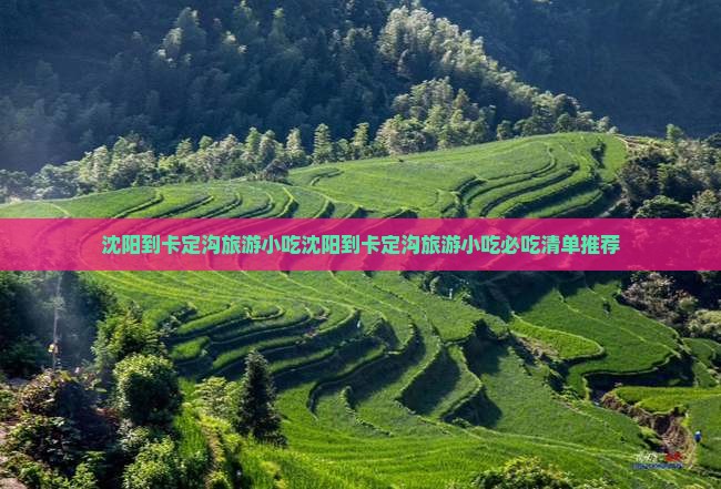 沈阳到西藏卡定沟旅游小吃