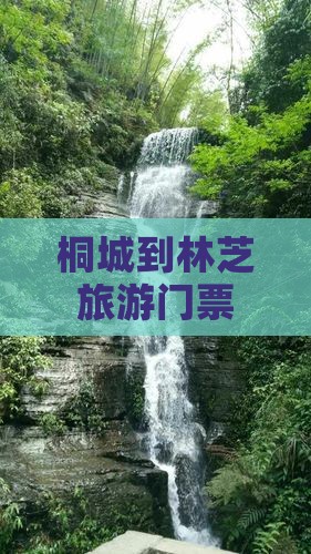 桐城到西藏林芝门票