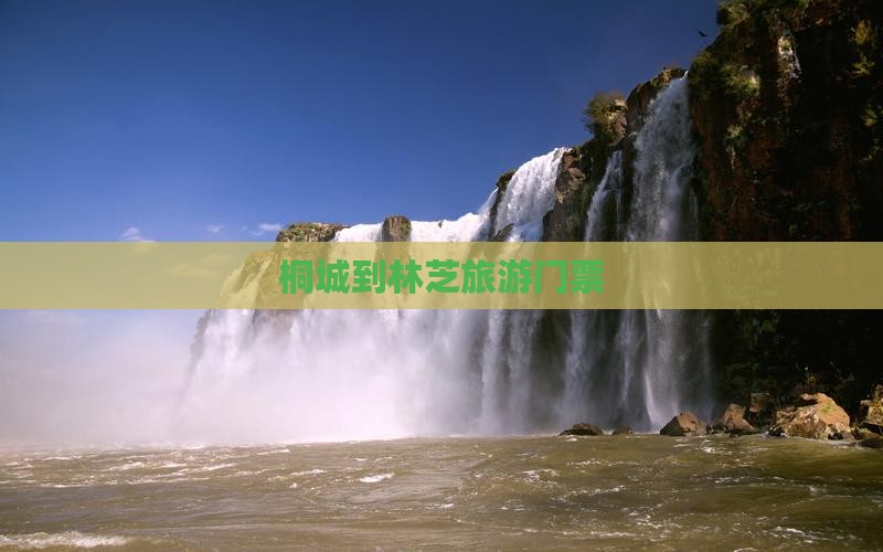 桐城到西藏林芝门票