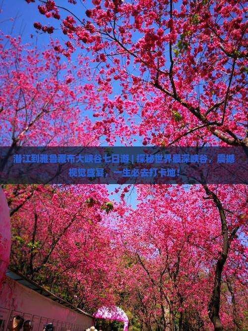 潜江到西藏雅鲁藏布大峡谷七日游