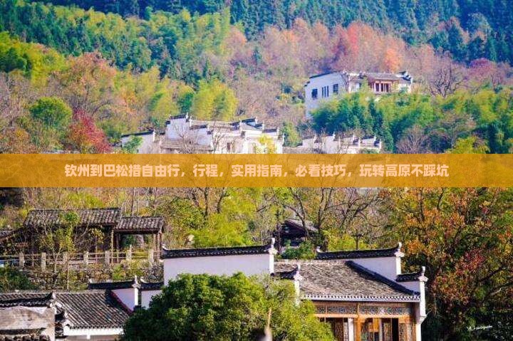 钦州到西藏巴松措自由行 钦州到西藏巴松措自由行