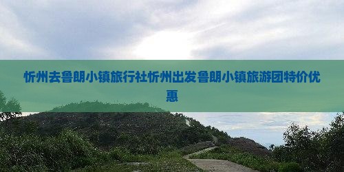 忻州去西藏鲁朗小镇旅行社