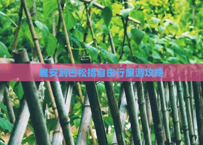 雅安到西藏巴松措自由行