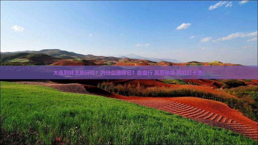 大连到西藏林芝旅行社