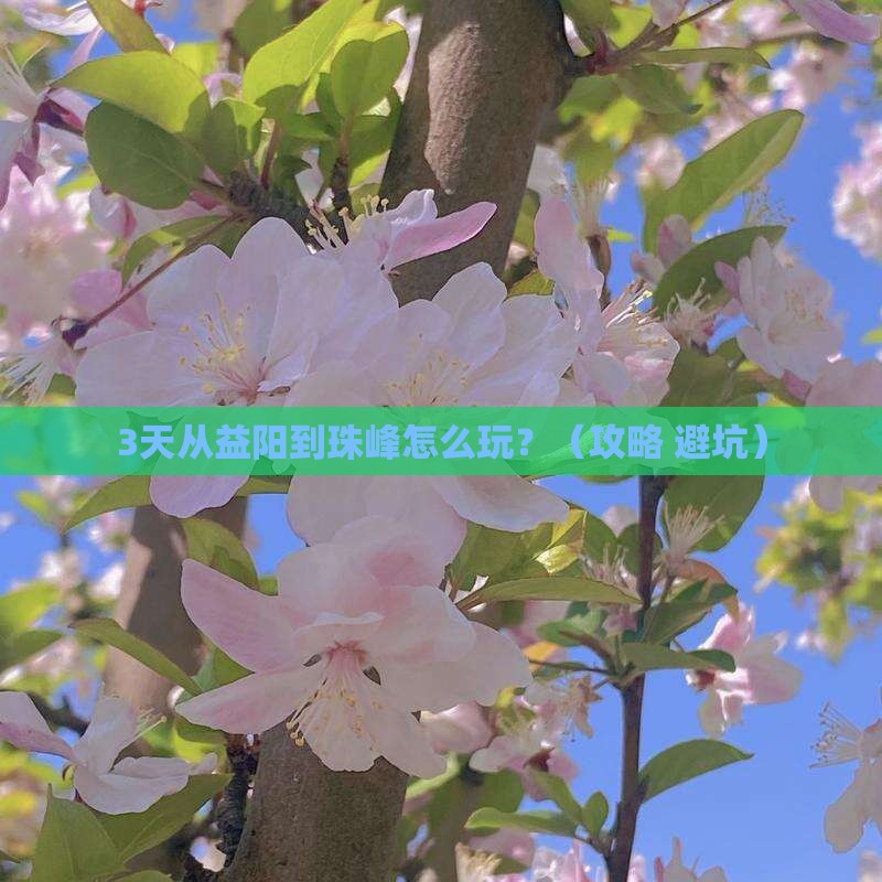 益阳去西藏珠峰大本营哪里玩