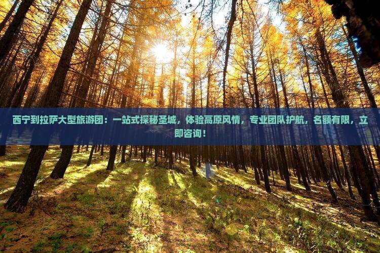 西宁到西藏拉萨大型旅游团