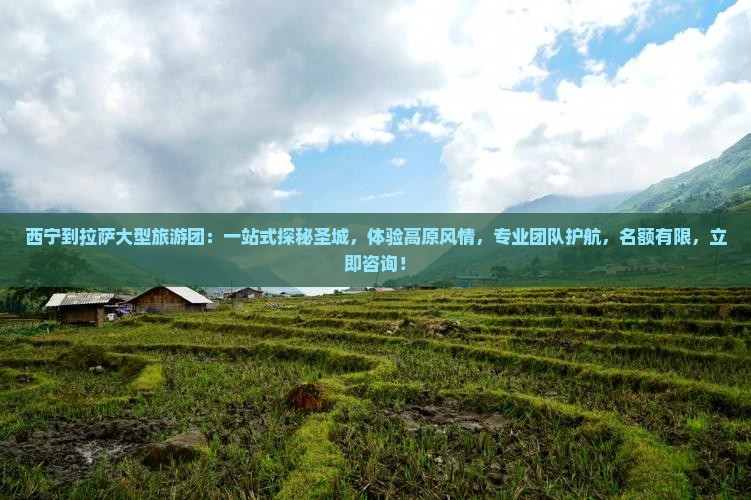西宁到西藏拉萨大型旅游团