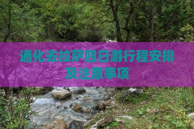 通化去西藏拉萨四日游