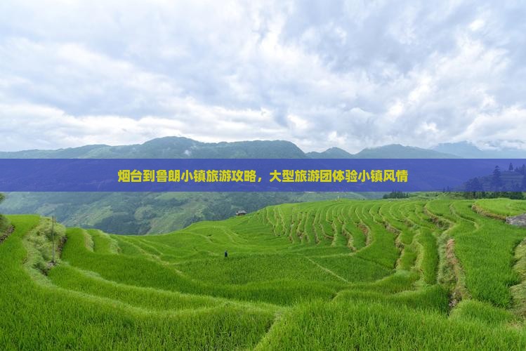 烟台到西藏鲁朗小镇大型旅游团
