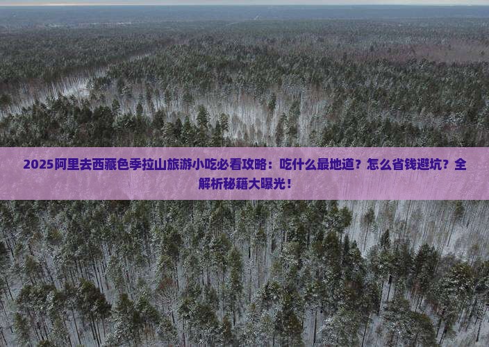 阿里去西藏色季拉山旅游小吃