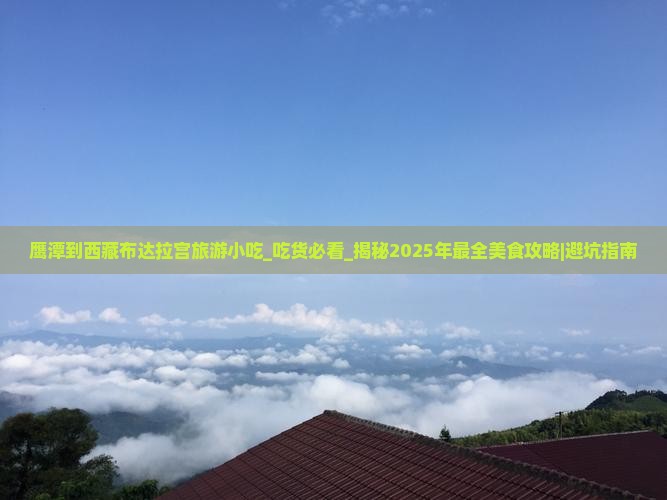 鹰潭到西藏布达拉宫旅游小吃