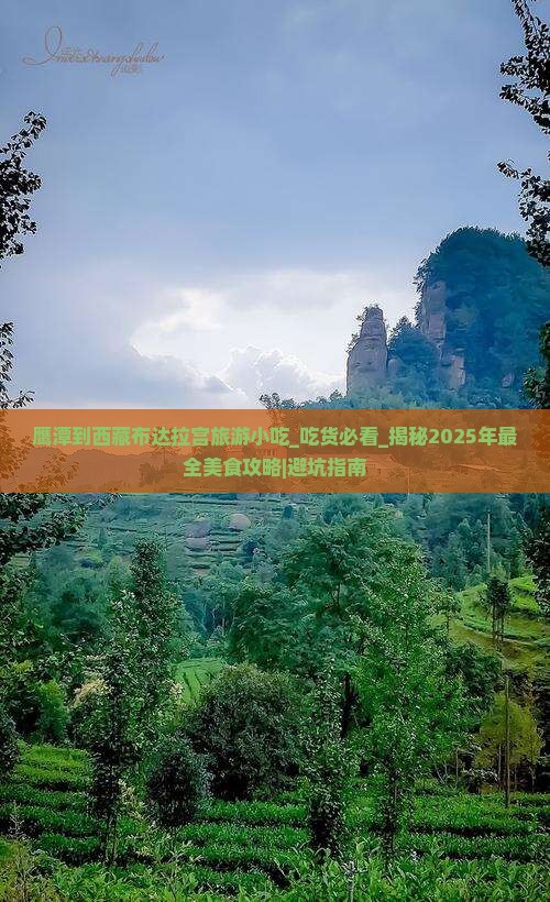 鹰潭到西藏布达拉宫旅游小吃