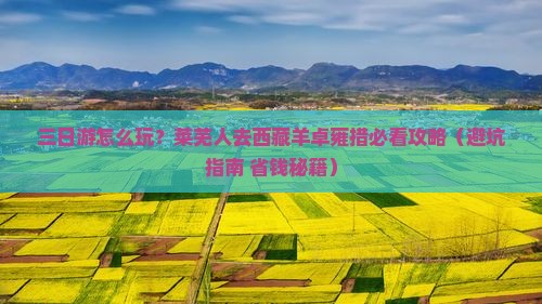 莱芜到西藏羊卓雍措三日游