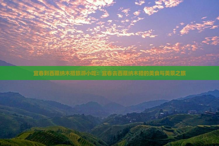 宜春到西藏纳木措旅游小吃