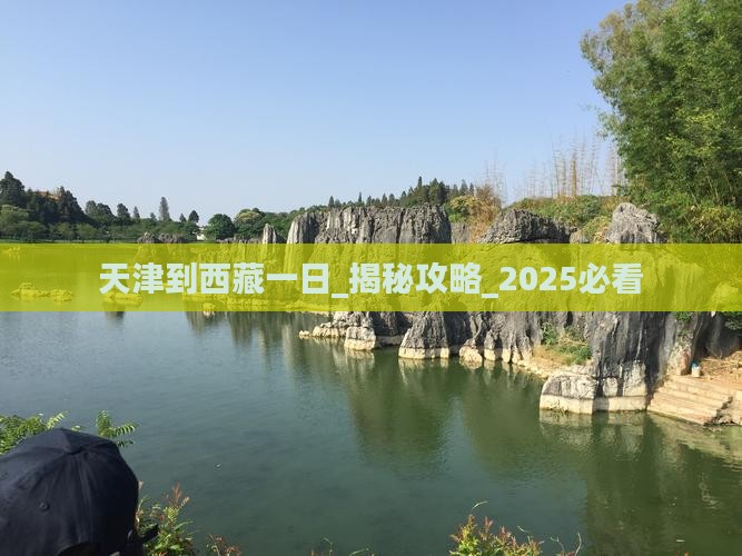 天津到西藏一日