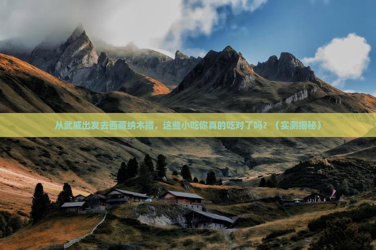 武威去西藏纳木措旅游小吃