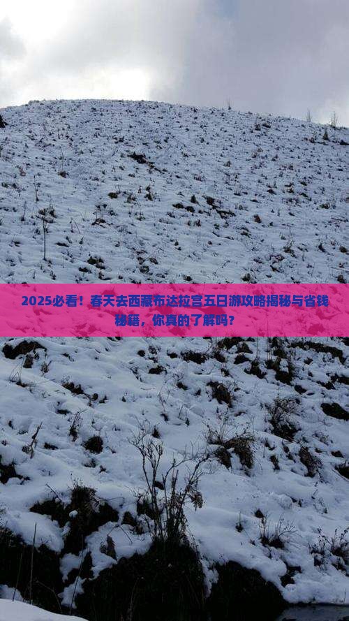 春天去西藏布达拉宫五日游