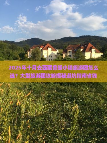 十月到西藏鲁朗小镇大型旅游团