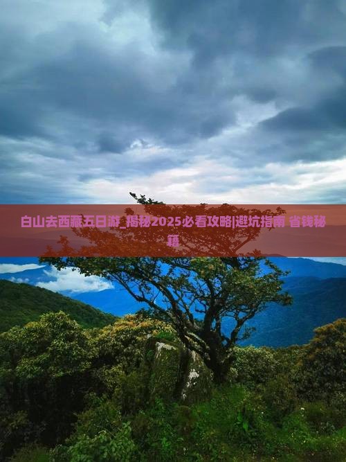 白山去西藏五日游