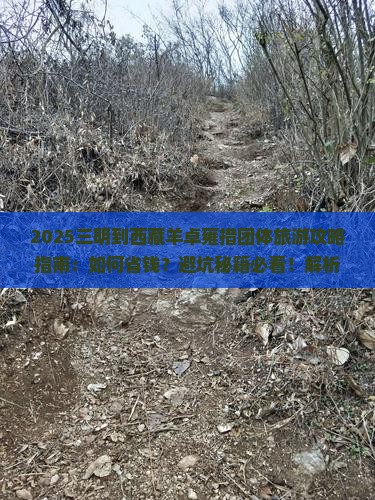 三明到西藏羊卓雍措团体旅游