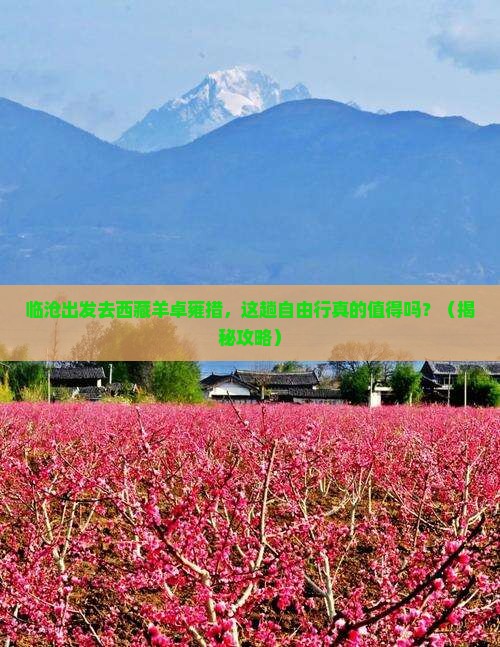 临沧去西藏羊卓雍措自由行