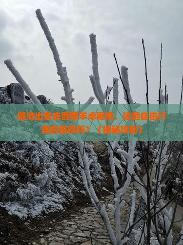 临沧去西藏羊卓雍措自由行