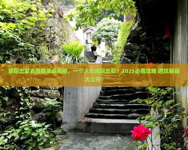 襄阳去西藏羊卓雍措个人游