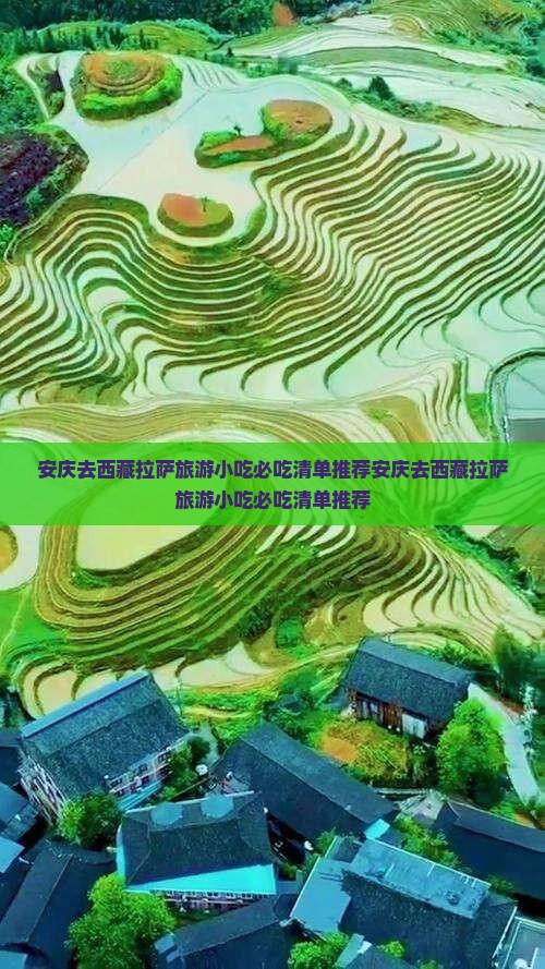安庆去西藏拉萨旅游小吃