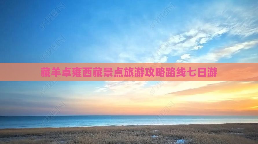 巴音郭楞去西藏羊卓雍措七日游