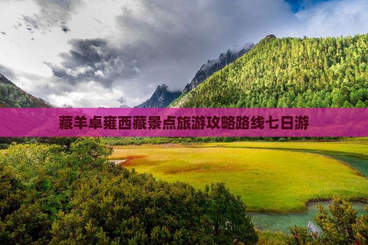 巴音郭楞去西藏羊卓雍措七日游