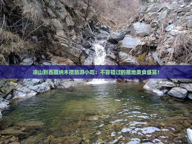 凉山到西藏纳木措旅游小吃