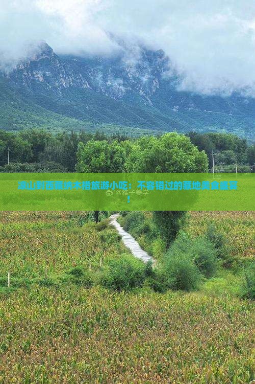凉山到西藏纳木措旅游小吃
