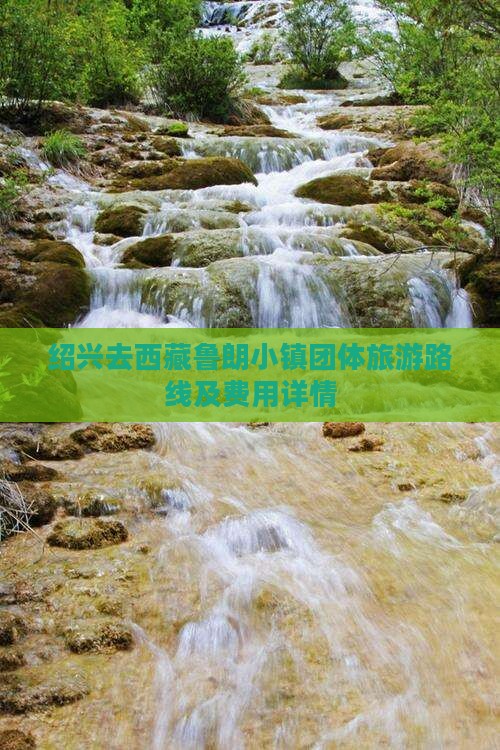 绍兴去西藏鲁朗小镇团体旅游