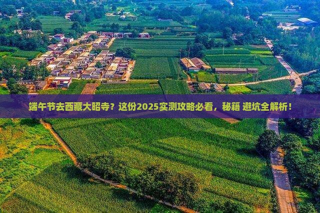 端午节去西藏大昭寺景点