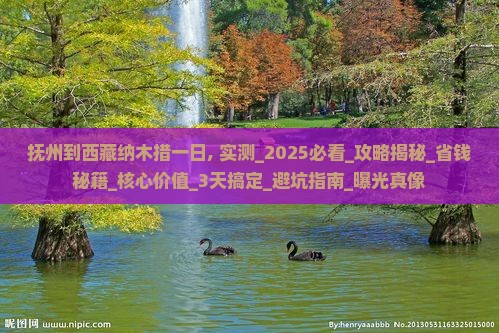 抚州到西藏纳木措一日