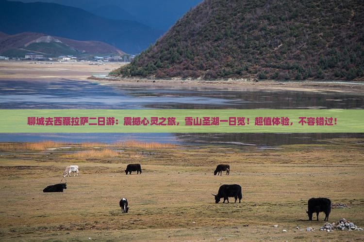 聊城去西藏拉萨二日游