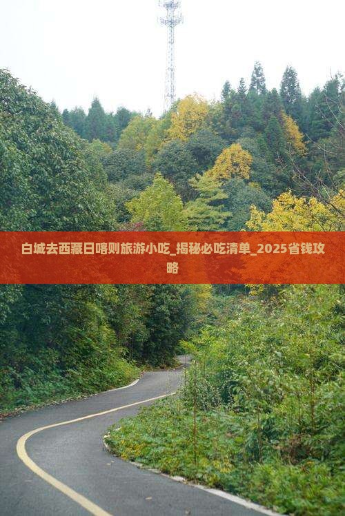 白城去西藏日喀则旅游小吃