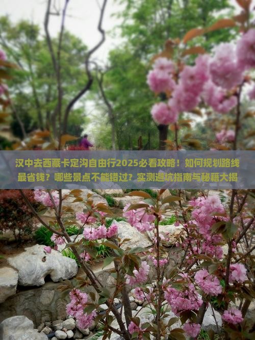 汉中去西藏卡定沟自由行
