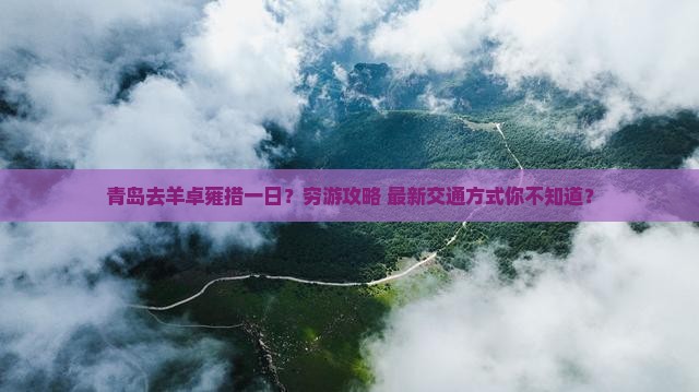 青岛去西藏羊卓雍措一日