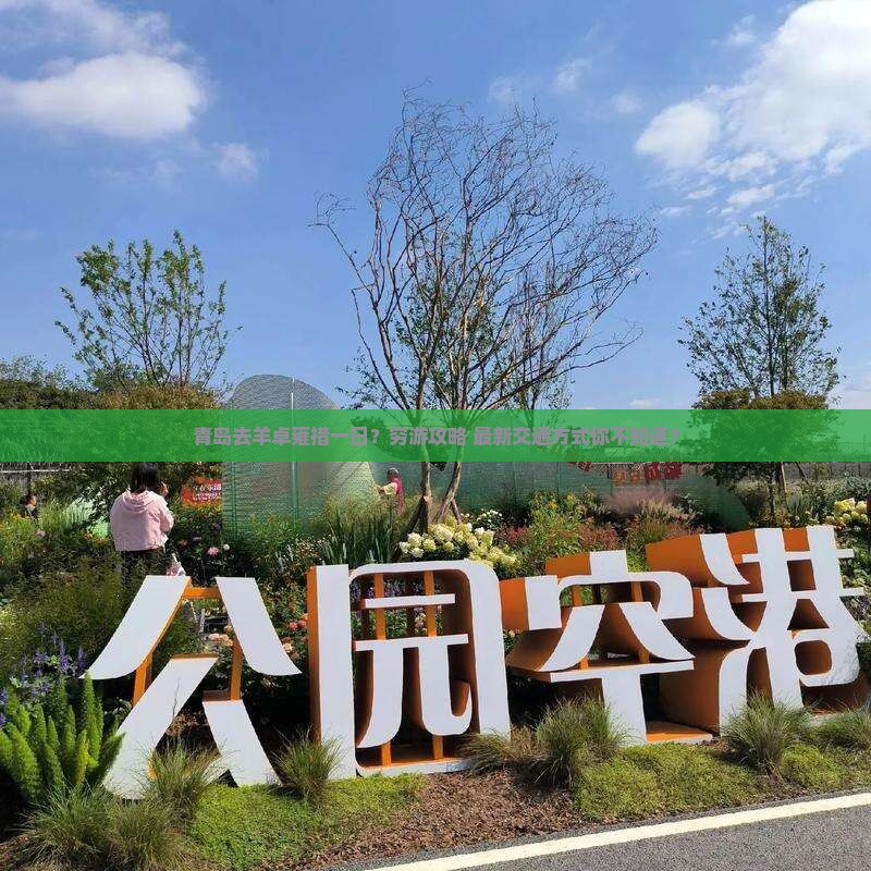 青岛去西藏羊卓雍措一日