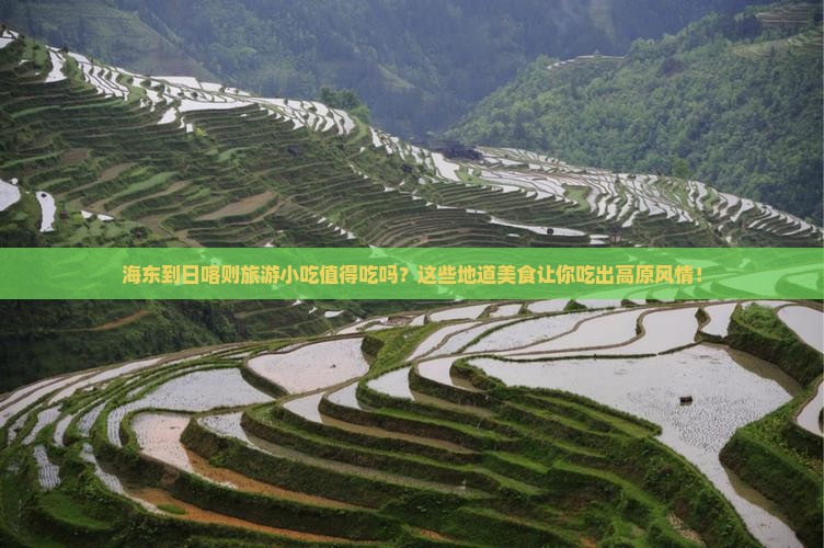 海东到西藏日喀则旅游小吃
