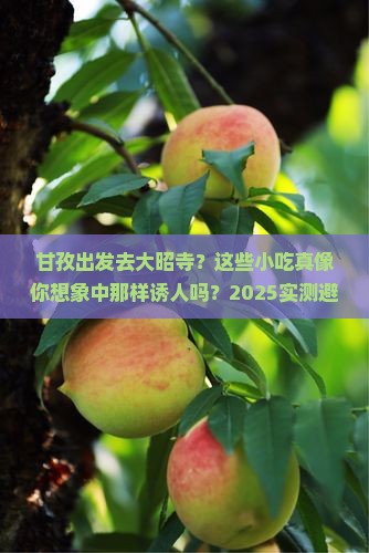 甘孜去西藏大昭寺旅游小吃