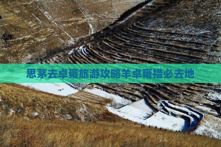 思茅去西藏羊卓雍措必去地